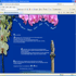 Familiepension Dom Orchidee